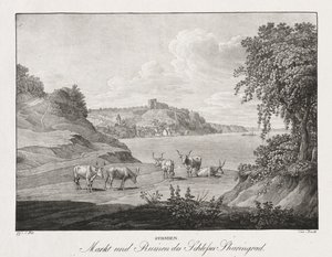 Syrmie, marché et ruines du château de Sharengrad - Jakob Alt