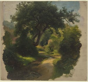 Chemin forestier - Jakob Becker