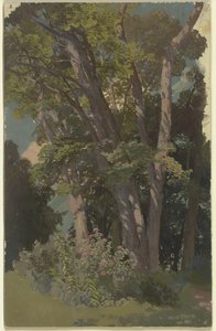 Étude de parc, clairière - Jakob Becker