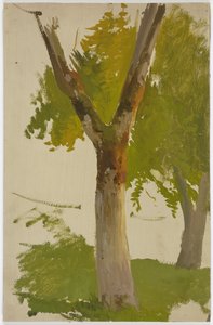 Baum - Jakob Becker