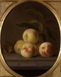 Nature morte de fruits avec une mouche - Jakob Bogdani or Bogdany