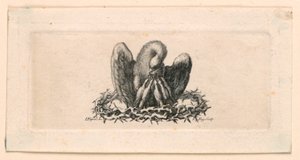 Vignette, Le Pélican dans la Couronne d