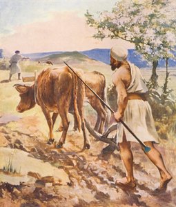 Terre Sainte : Labourer près de Nazareth - James (after) Clark