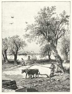 Labour dans un vignoble - James (after) Clark