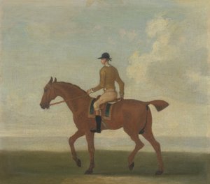 Un cheval de course alezan avec jockey, vers 1730 - James (attr.) Seymour