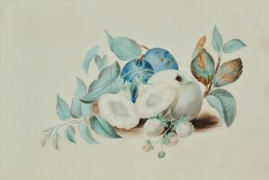 Nature morte - James (attr.to) Goddard
