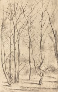 Le Bois du barrage, 1875 - James Abbott McNeill Whistler