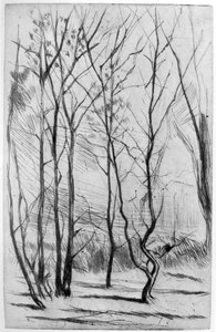 Le bois du barrage, vers 1875, 1904