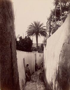 Capri - James Anderson