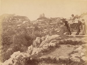 Capri [enfant sur une mule] - James Anderson