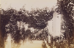 Jardin - Capri - James Anderson