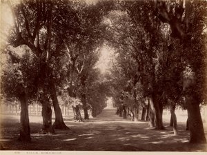 Villa Borghese - James Anderson