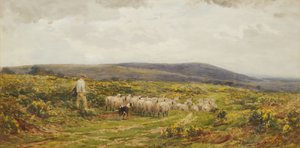 Un commun de Herefordshire