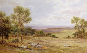 Collines de Cumberland depuis Wardrew House, Gilston