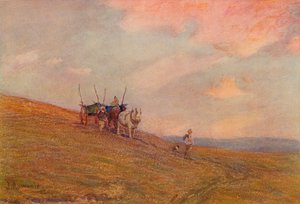 Sur les Downs près de Harting, 1906 - James Aumonier