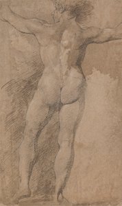 Homme avec les bras écartés vu de dos