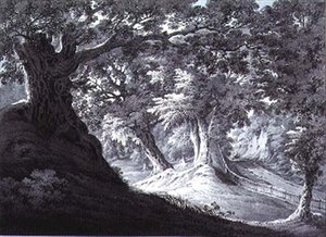 Beddington, Surrey - James Bourne