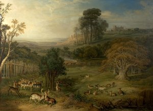 Un Matin de Rosée (Le Duel des Cerfs)