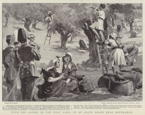 Avec le Kaiser en Terre Sainte, dans une oliveraie près de Bethléem