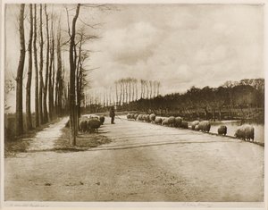 Une pastorale d