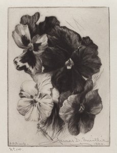 Bouquet de pensées