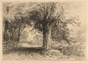 Un chemin de ferme, janvier 1887, Opus 2 - James David Smillie