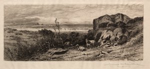 At Marblehead Neck - James David Smillie