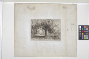 Paysage