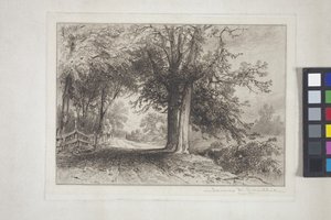Paysage