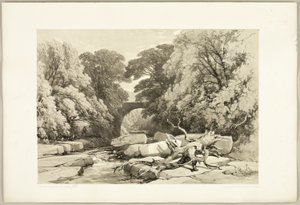 Frêne et aulne sur la Greta, du Parc et la Forêt - James Duffield Harding