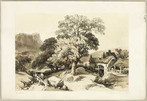 Frêne et Chêne, du Parc et la Forêt - James Duffield Harding