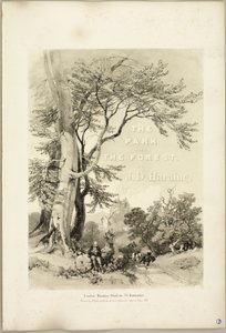 Hêtre et Chêne (Frontispice), de Le Parc et la Forêt - James Duffield Harding