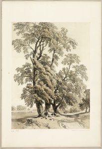 Orme, du Parc et la Forêt