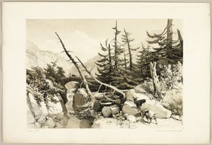 Mélèze, du Parc et la Forêt - James Duffield Harding