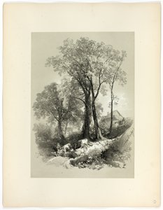 Pont de Shipley, Devon, de Sélections pittoresques