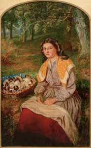 La cueilleuse de champignons