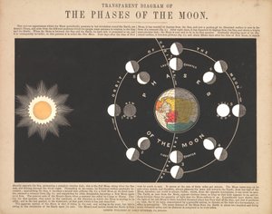 Diagramme transparent des phases de la lune - James & Emslie John (1813 75) Reynolds