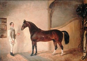 Palefrenier avec chasseur sur le domaine de Tredegar, Monmouthshire
