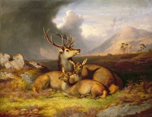 Félicité des Highlands, Ben Lebrig en arrière-plan - James Giles