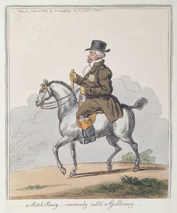 Un poney écossais, communément appelé un Galloway, publié par Hannah Humphrey en 1803