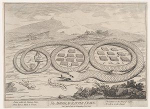 Le serpent à sonnettes américain - James Gillray.