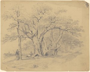 Près des vieux chênes