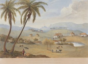 Haughton Court, Hanover, Jamaïque [Un de]