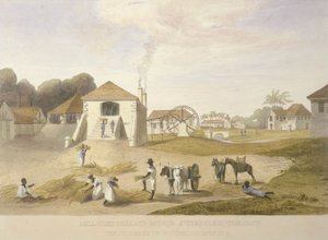 Cour de moulin, domaine de Hollande, Saint-Thomas dans l