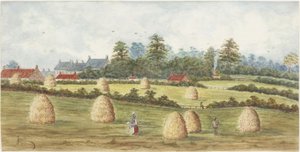 Chirton depuis Meadowell Farm