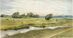 Ryton Meadows - James Henry Cleet