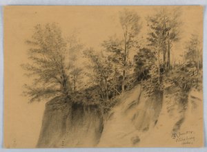 Falaise et arbres, Vicksburg, Miss. - James Henry Moser