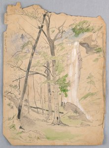 Cascade - James Henry Moser
