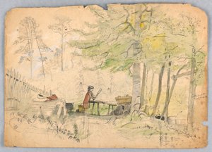 Campement en forêt