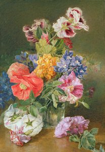 Roses, coquelicot et pélargonium - James Holland